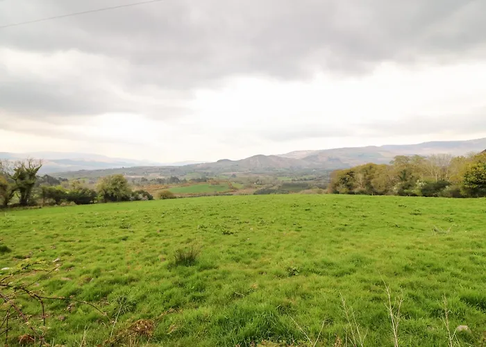 Hébergement de vacances Oak Wood House